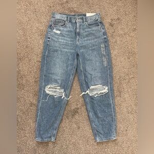 American Eagle Relaxed Mom Jean Size 8 Reg